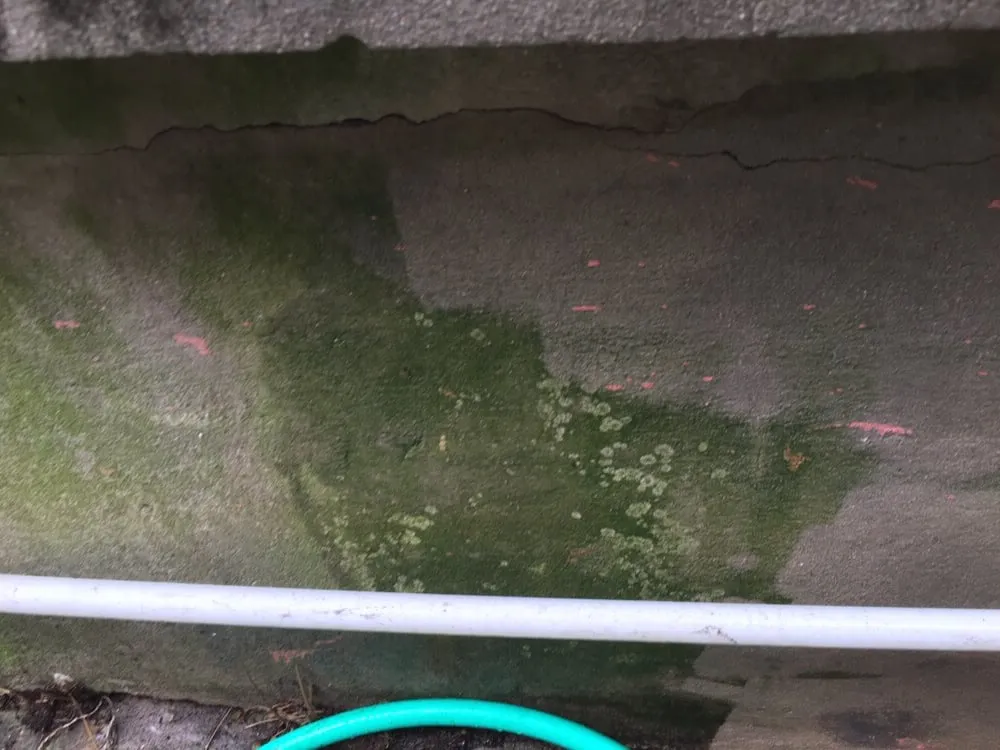 Local garden landscaping in New Orleans, LA - A Beautiful Estate, Inc.