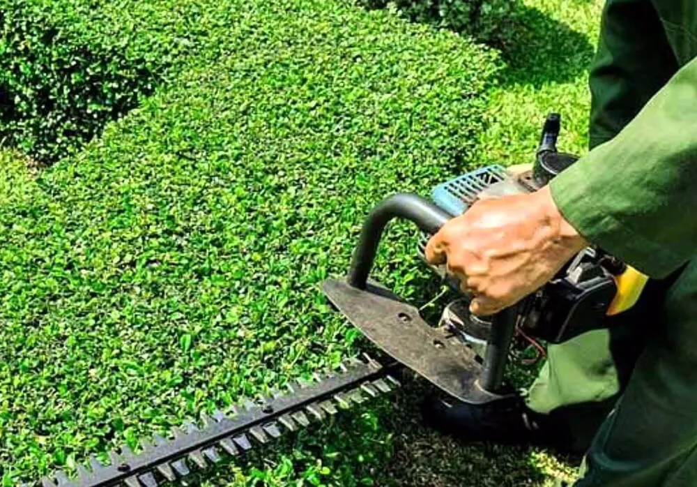 Trusted garden landscaping experts serving New Orleans, LA - A Beautiful Estate, Inc.