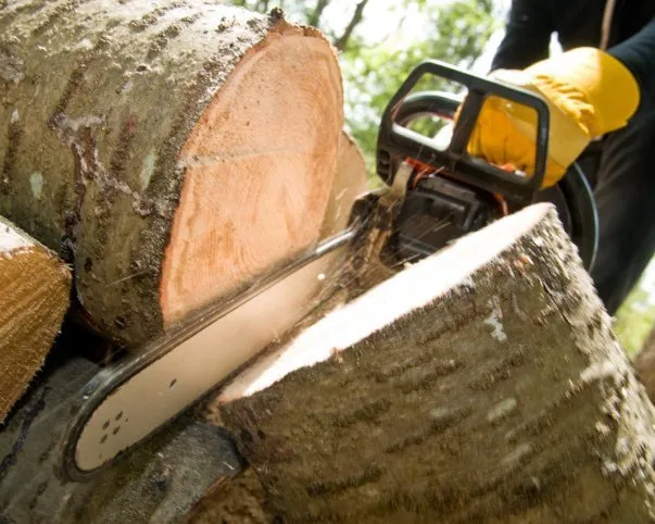 Affordable lawn mowing service experts serving Wharton, TX - A Beautiful Landscaping