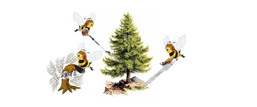 Custom lawn mowing service in Castleton, VT - A Bees Tree Service