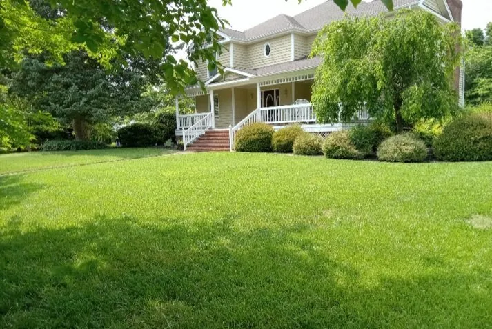 Reliable residential landscaping for beautiful yards in Virginia Beach, VA by A Better Choice Lawn & Landscapes