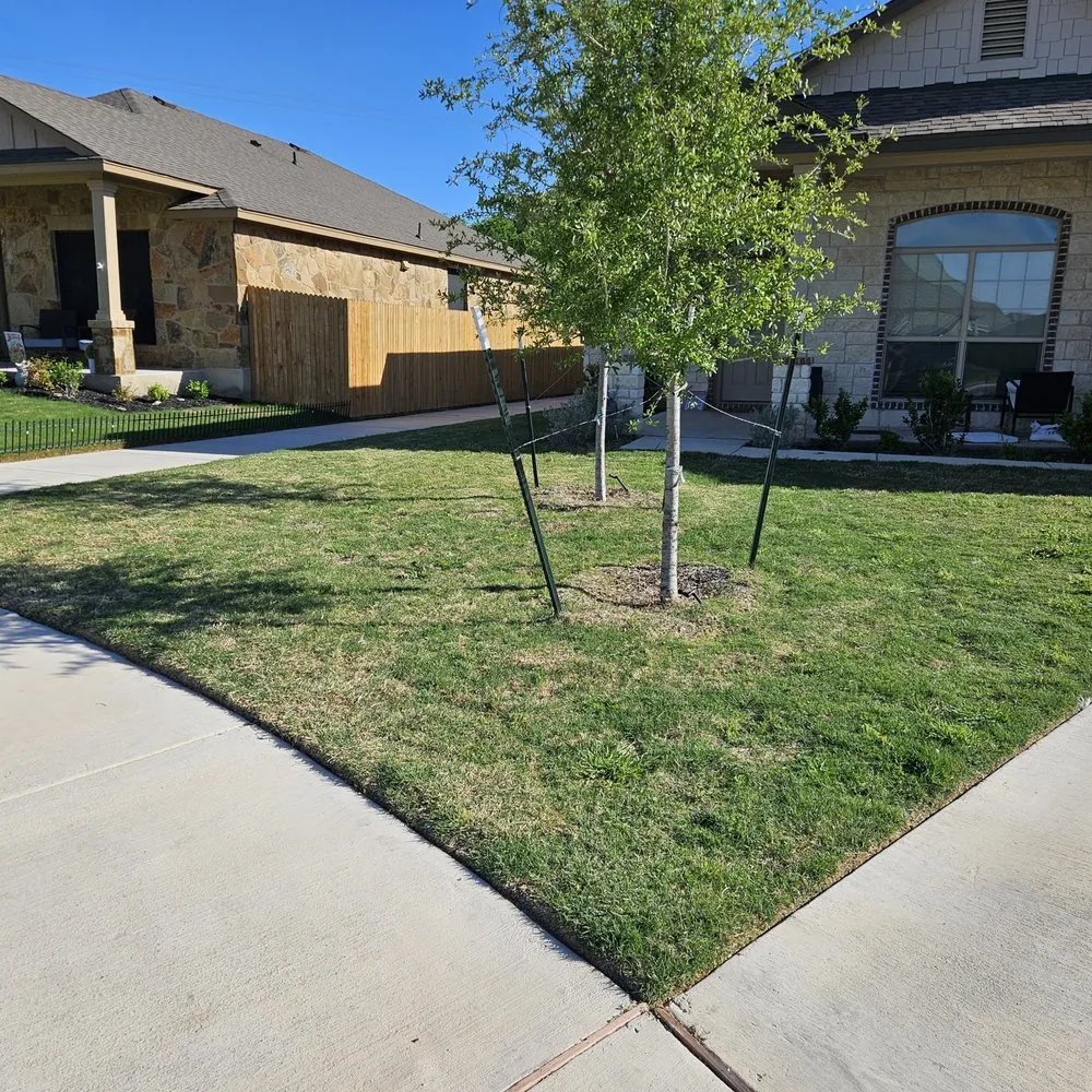 Custom lawn care service near you across Killeen, TX - A Better Choice Lawn Care