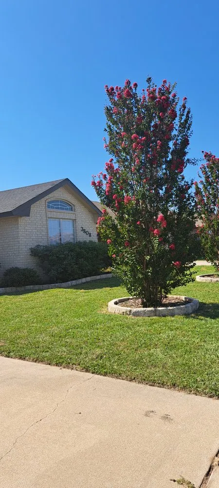 Custom yard cleanup service experts serving Killeen, TX - A Better Choice Lawn Care