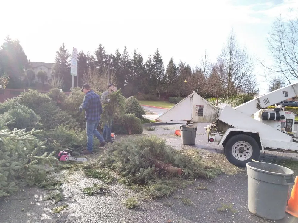 Trusted landscape design in Vancouver, WA - A Better Choice