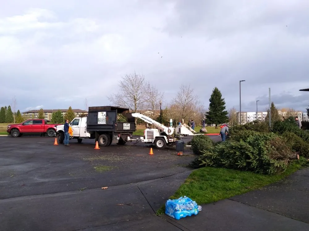 Reliable lawn care service for year-round maintenance in Vancouver, WA by A Better Choice