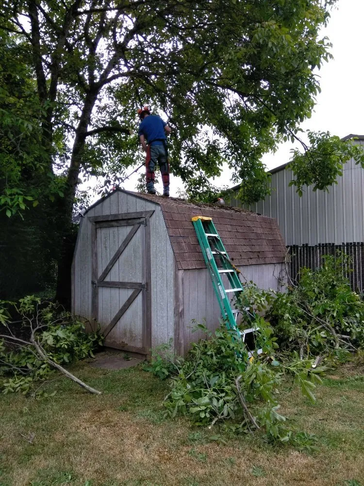 Reliable landscape installation for homes across Vancouver, WA - A Better Choice