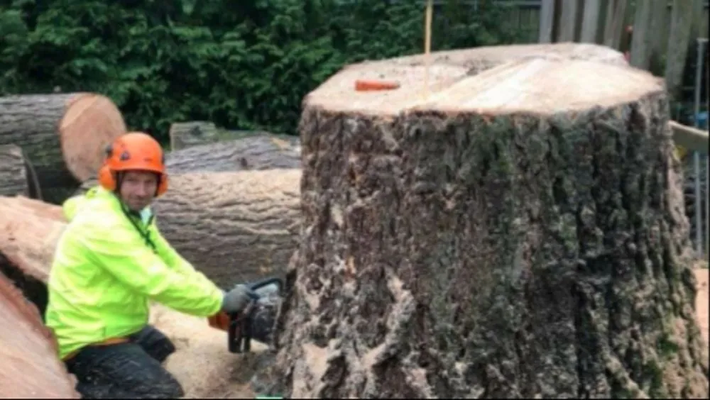 Professional yard maintenance with custom design across Vancouver, WA - A Better Choice