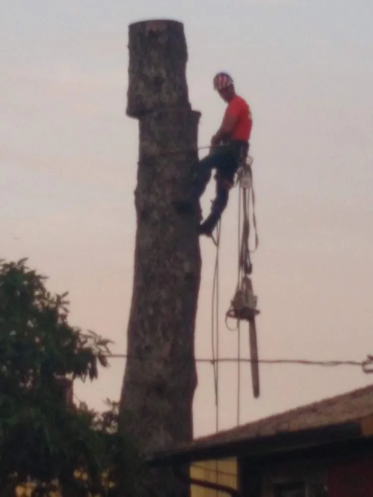 Custom landscape installation with custom design across Vancouver, WA - A Better Choice