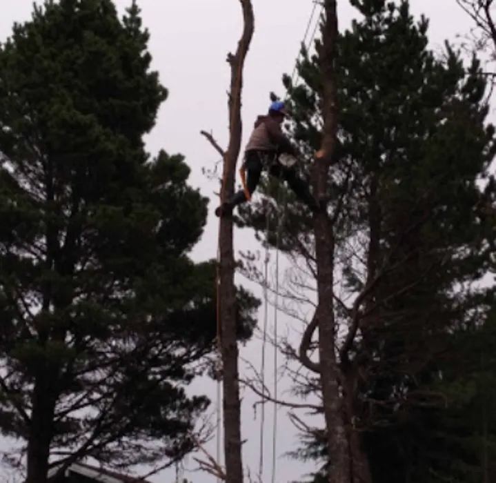 Reliable outdoor landscaping in Vancouver, WA - A Better Choice