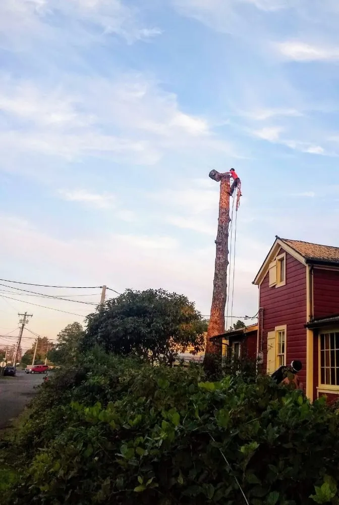 Top-rated outdoor landscaping for homes across Vancouver, WA - A Better Choice