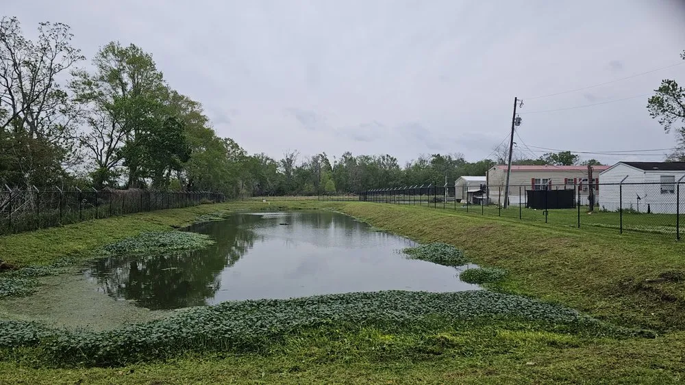 Affordable residential landscaping for residential properties in Hammond, LA by A Better Cut²