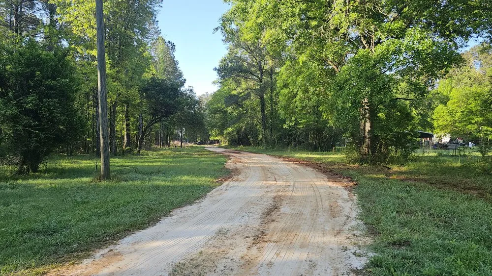 Professional landscaping services in Hammond, LA by A Better Cut²