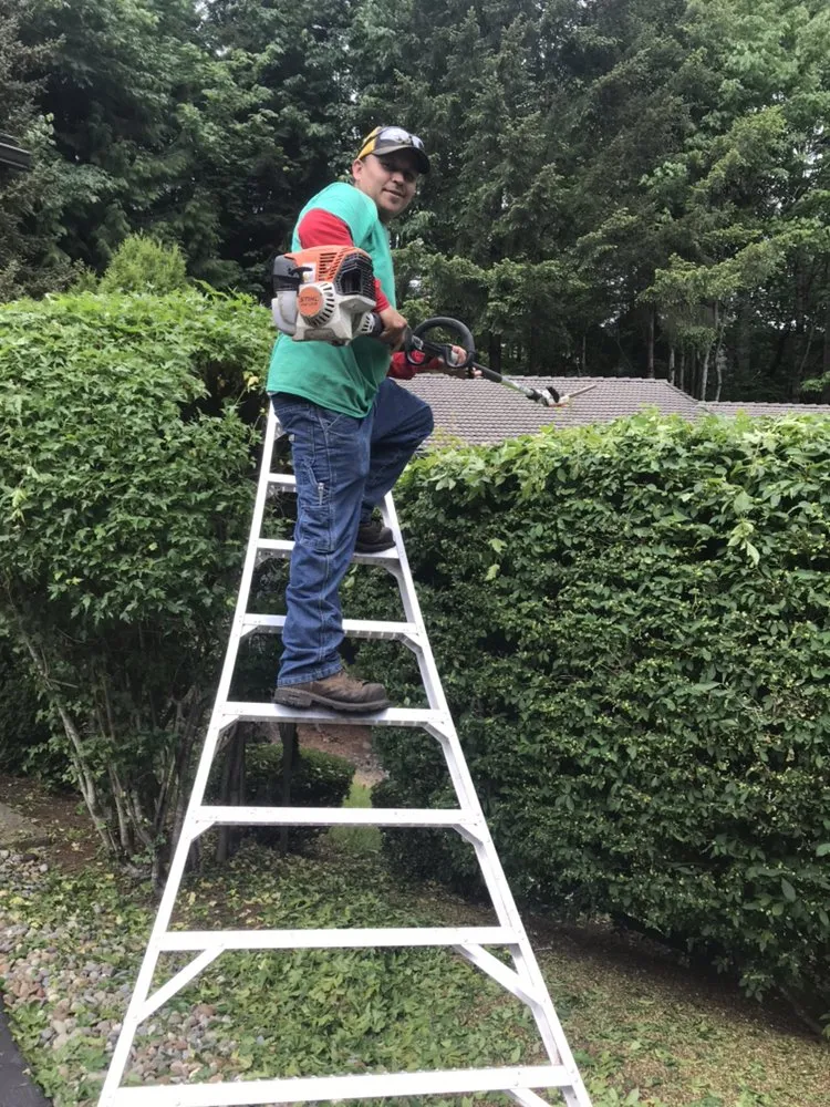 Trusted landscape design experts serving Kelso, WA - A Better Cut Lawn Care