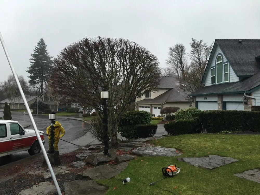 Top-rated lawn mowing service for beautiful yards in Kelso, WA by A Better Cut Lawn Care