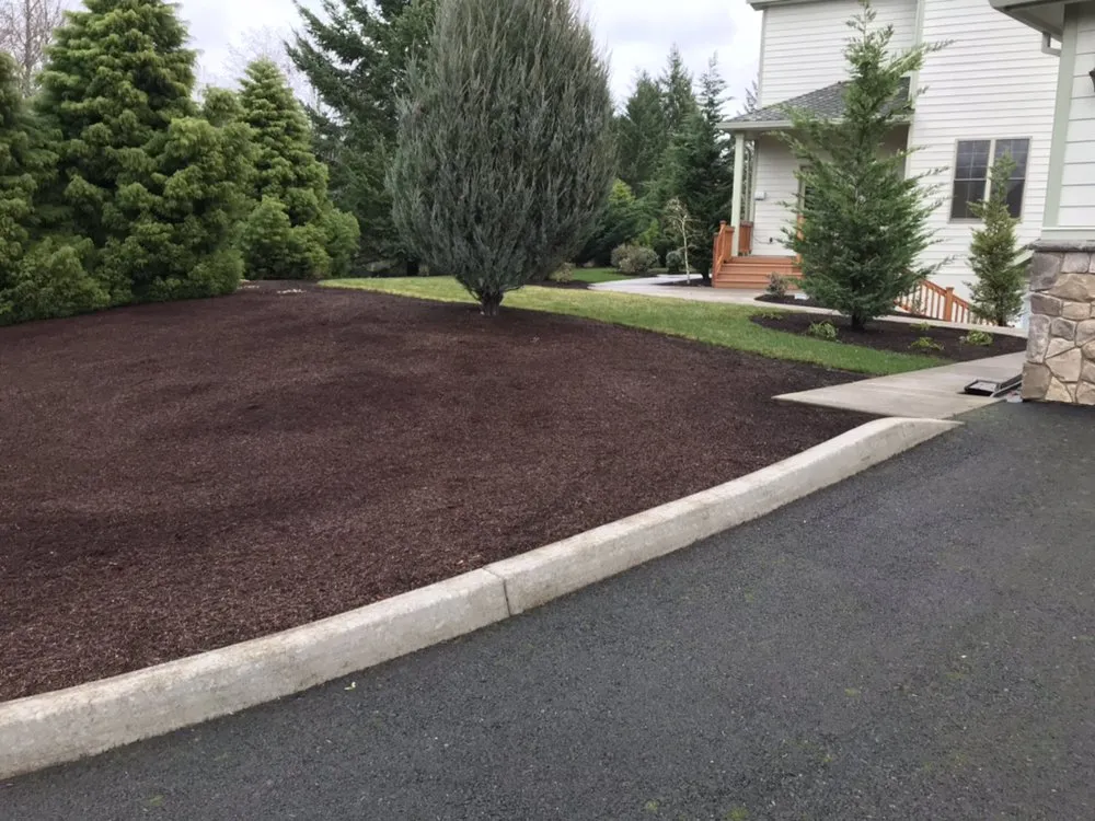 Top-rated landscaping services experts serving Kelso, WA - A Better Cut Lawn Care