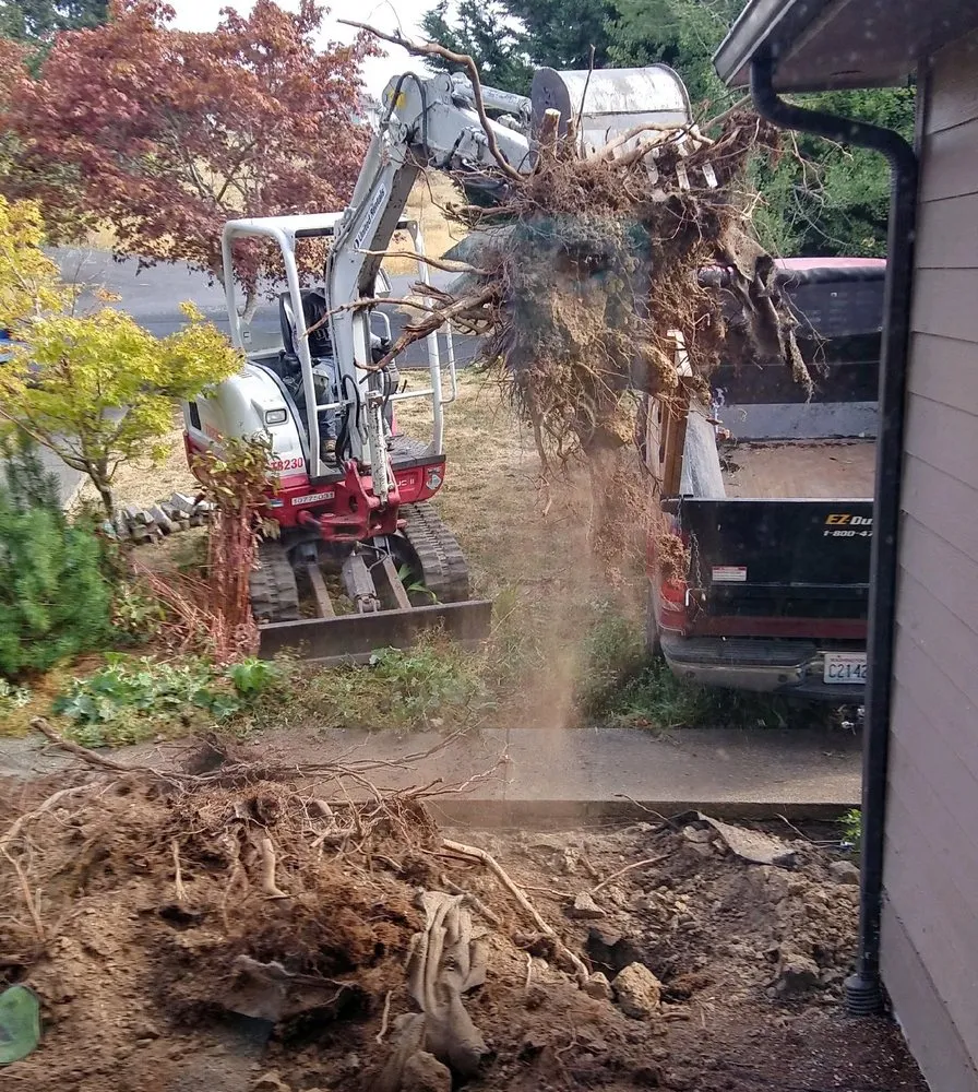 Affordable yard maintenance with custom design in Kelso, WA by A Better Cut Lawn Care