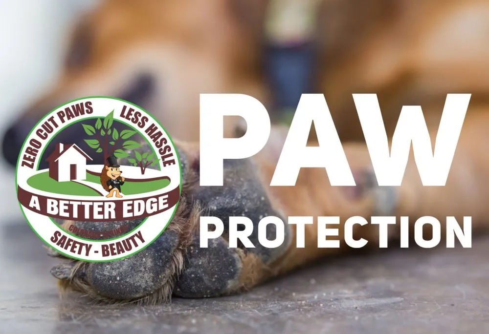 Custom lawn mowing service in Colorado Springs, CO - A Better Edge