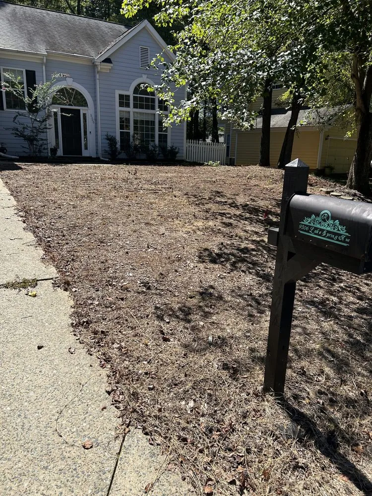 Professional outdoor landscaping for beautiful yards across Gastonia, NC - A Better Edge Lawn Care