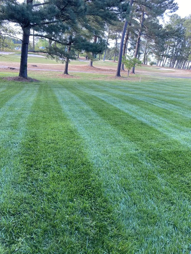 Affordable garden landscaping for year-round maintenance in Gastonia, NC by A Better Edge Lawn Care