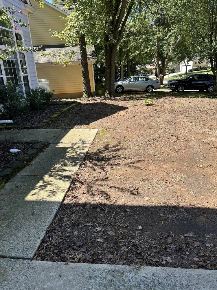 Trusted outdoor landscaping experts serving Gastonia, NC - A Better Edge Lawn Care