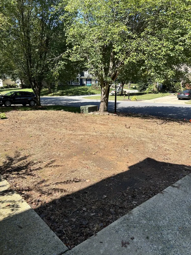 Reliable yard cleanup service for beautiful yards in Gastonia, NC by A Better Edge Lawn Care