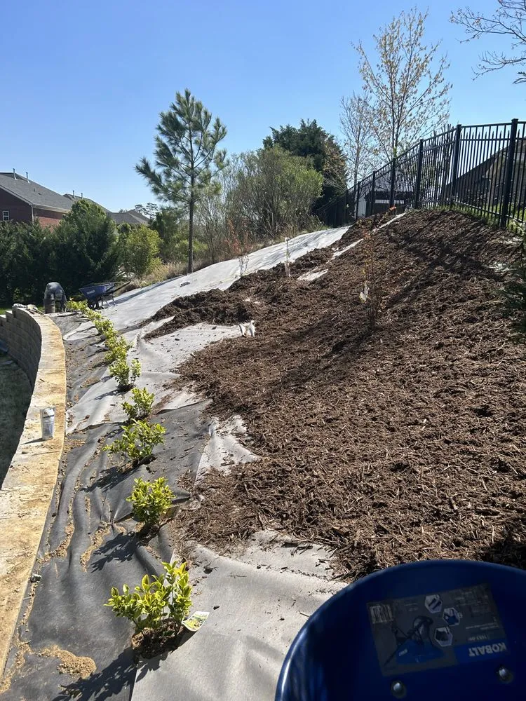 Expert landscape installation for outdoor upgrades across Gastonia, NC - A Better Edge Lawn Care