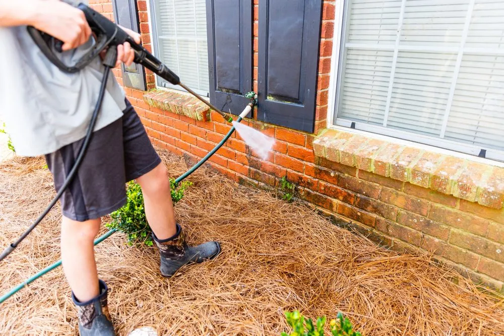 Trusted yard cleanup service experts serving Pueblo, CO - A Better Home