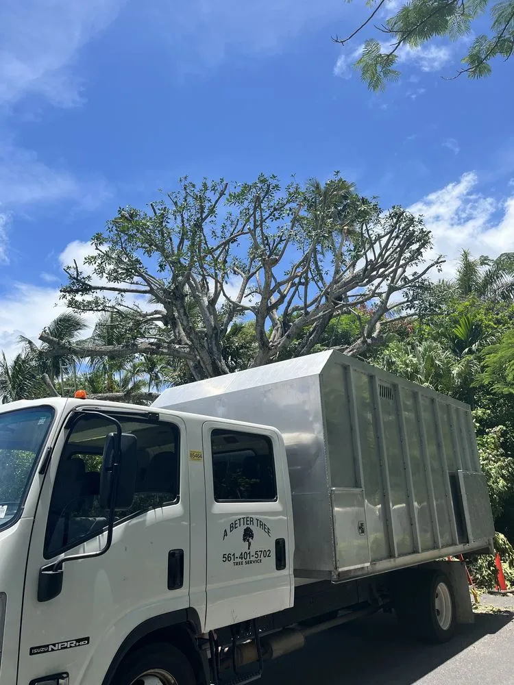 Reliable residential landscaping in Jupiter, FL - A Better Landscape Service