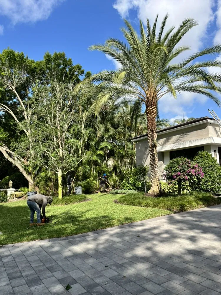 Custom residential landscaping in Jupiter, FL by A Better Landscape Service