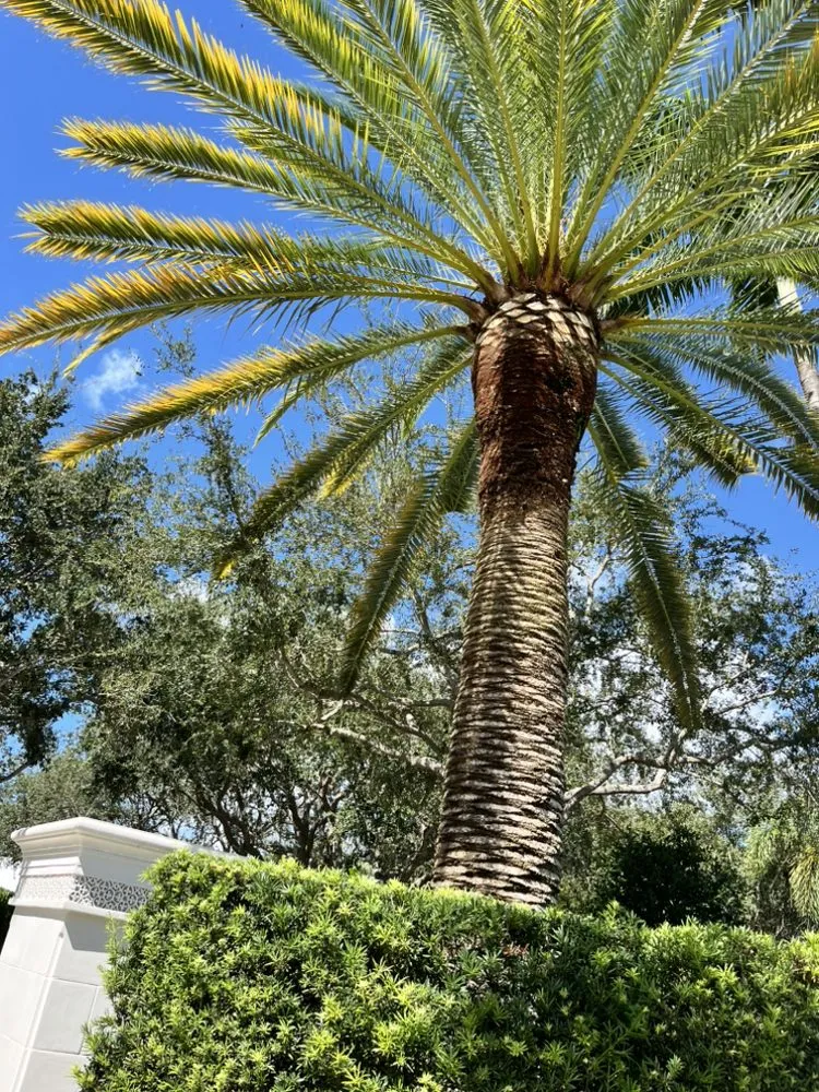 Trusted garden landscaping for outdoor upgrades in Jupiter, FL by A Better Landscape Service