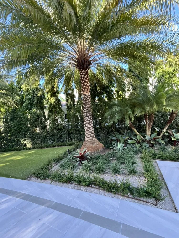 Affordable outdoor landscaping for year-round maintenance in Jupiter, FL by A Better Landscape Service