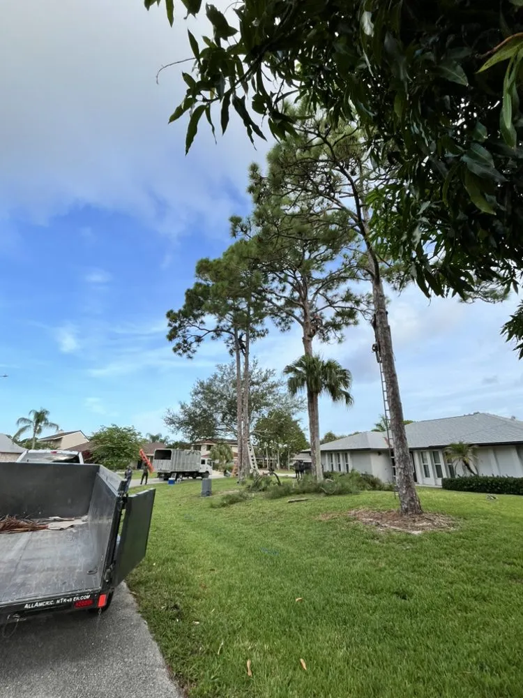 Reliable lawn care service experts serving Jupiter, FL - A Better Landscape Service