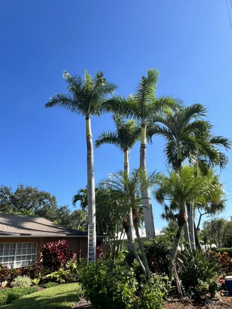 Expert lawn care service in Jupiter, FL - A Better Landscape Service