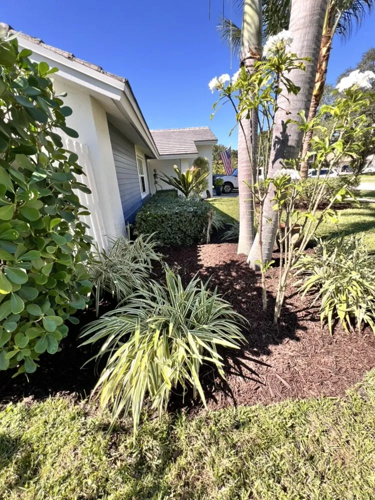 Professional yard cleanup service for residential properties across Jupiter, FL - A Better Landscape Service