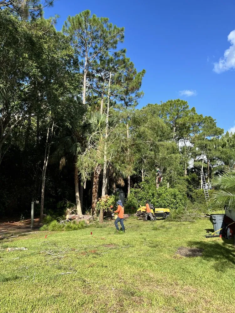 Trusted landscape design with custom design in Jupiter, FL by A Better Landscape Service