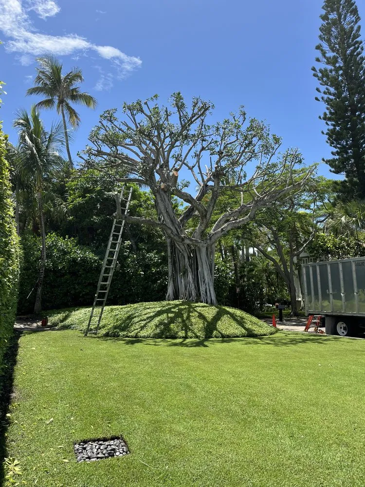 Custom yard maintenance for homes in Jupiter, FL by A Better Landscape Service