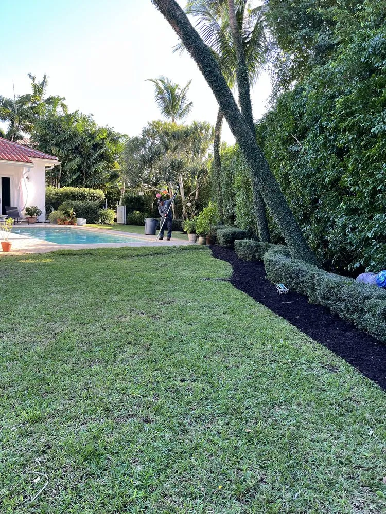 Professional landscape installation in Jupiter, FL by A Better Landscape Service