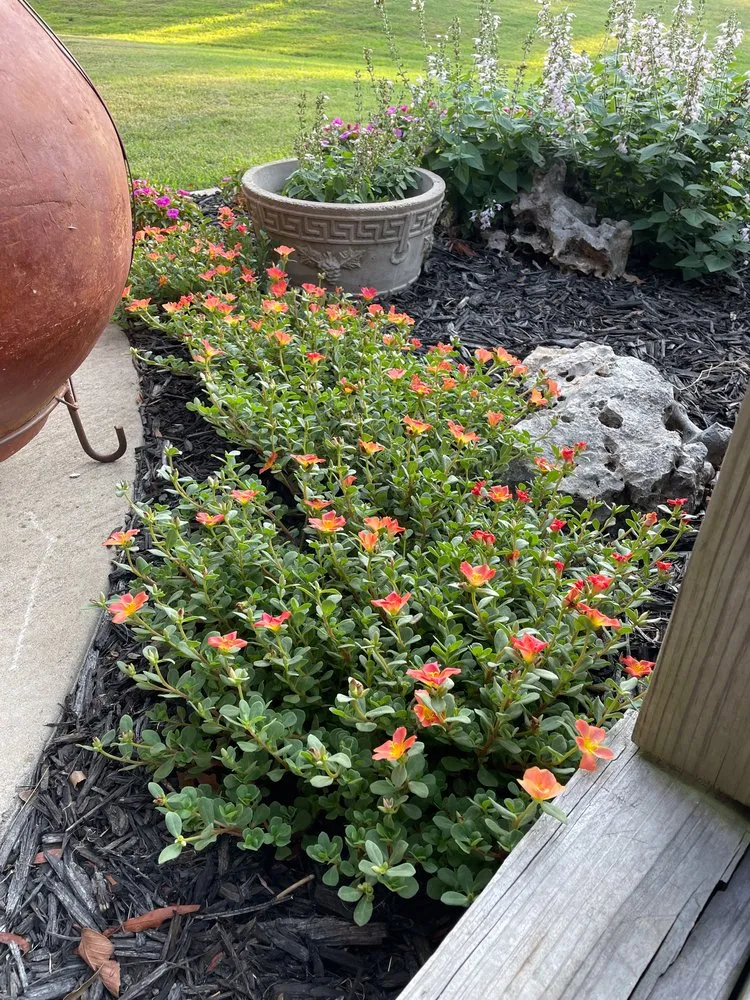 Reliable residential landscaping for year-round maintenance across Broken Arrow, OK - A-better Lawn and Landscape