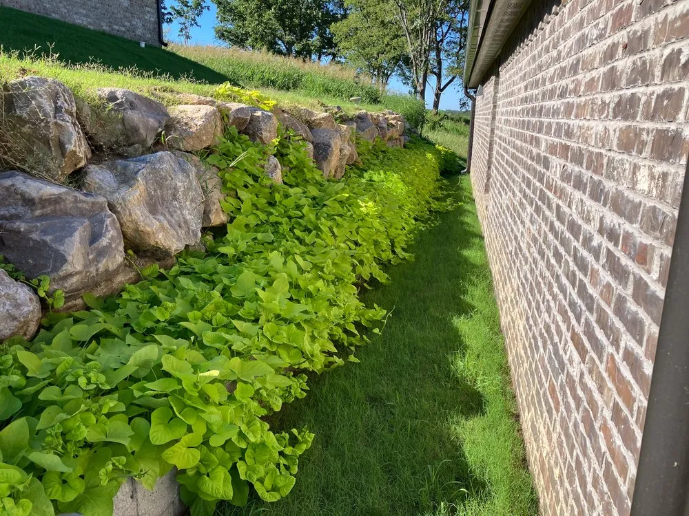 Custom lawn mowing service near you in Broken Arrow, OK by A-better Lawn and Landscape