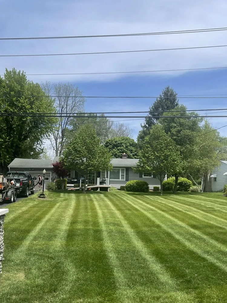 Local lawn care service with custom design across Middletown, OH - A Better Lawn care