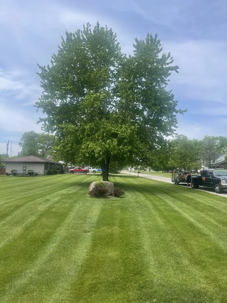 Trusted landscape design in Middletown, OH - A Better Lawn care
