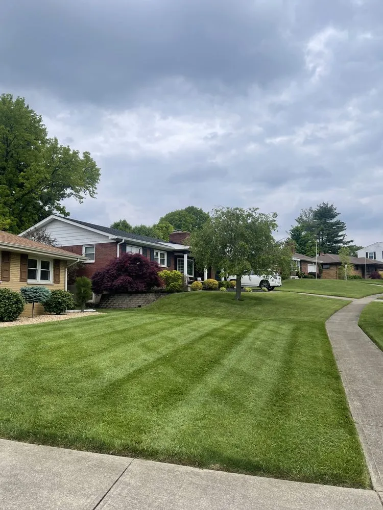 Local yard cleanup service in Middletown, OH - A Better Lawn care