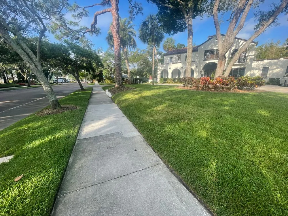 Professional yard cleanup service in Redington Shores, FL - A Better Lawn Care