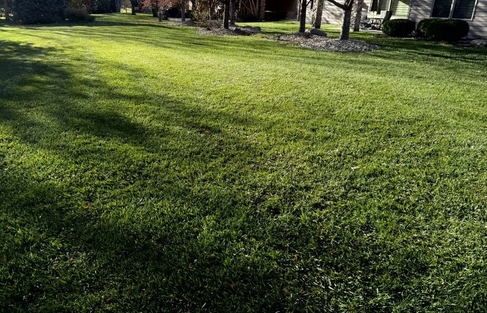 Top-rated yard maintenance in Omaha, NE by A Better Lawn