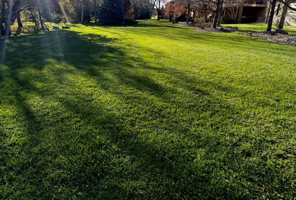 Top-rated lawn care service for residential properties across Omaha, NE - A Better Lawn