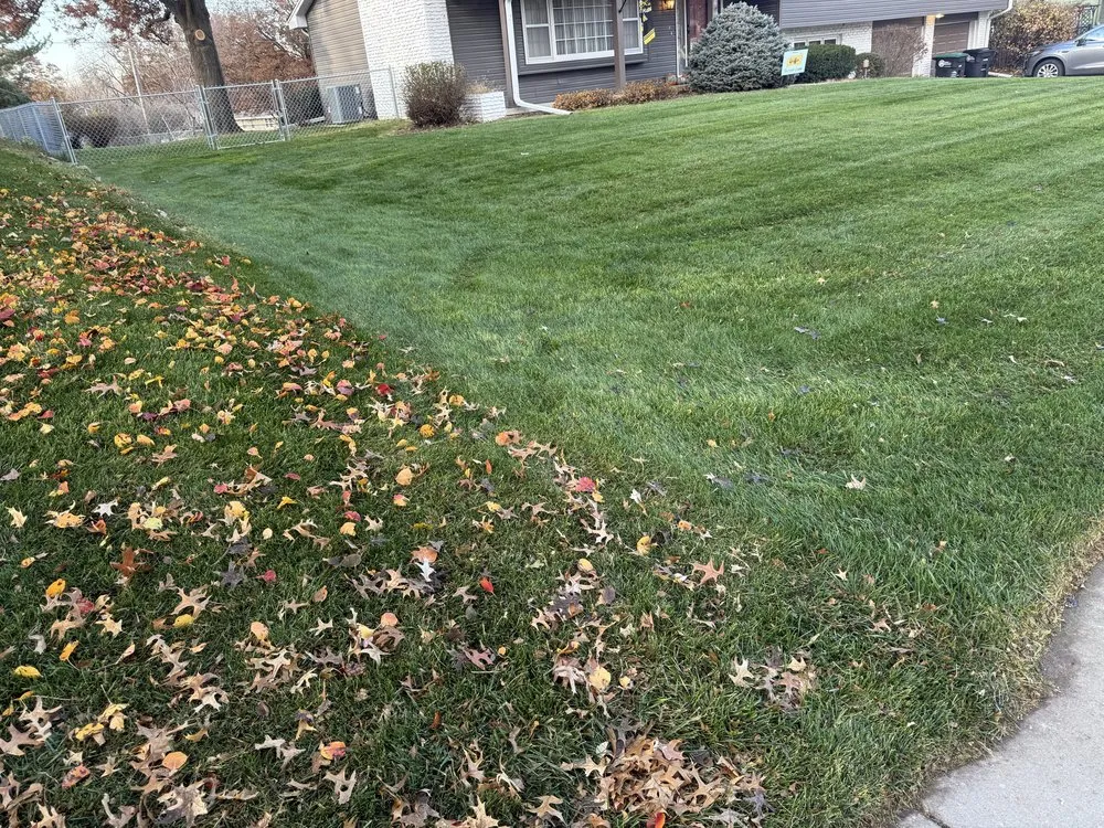 Custom lawn care service in Omaha, NE by A Better Lawn