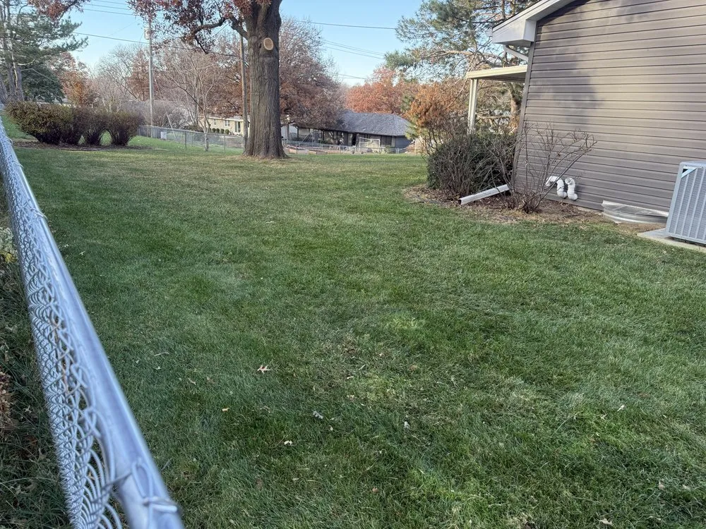 Professional yard cleanup service for homes in Omaha, NE by A Better Lawn