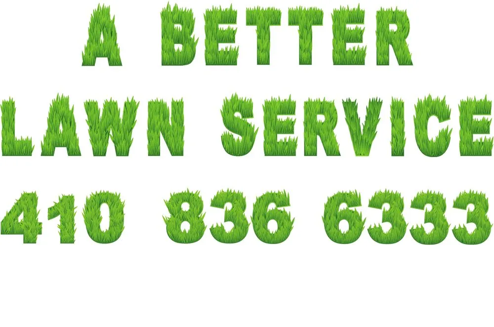 Reliable outdoor landscaping experts serving Bel Air, MD - A Better Lawn Service