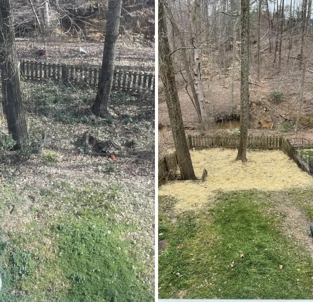 Trusted lawn mowing service with custom design in Gwynn Oak, MD by A Better Price Tree and Lawn