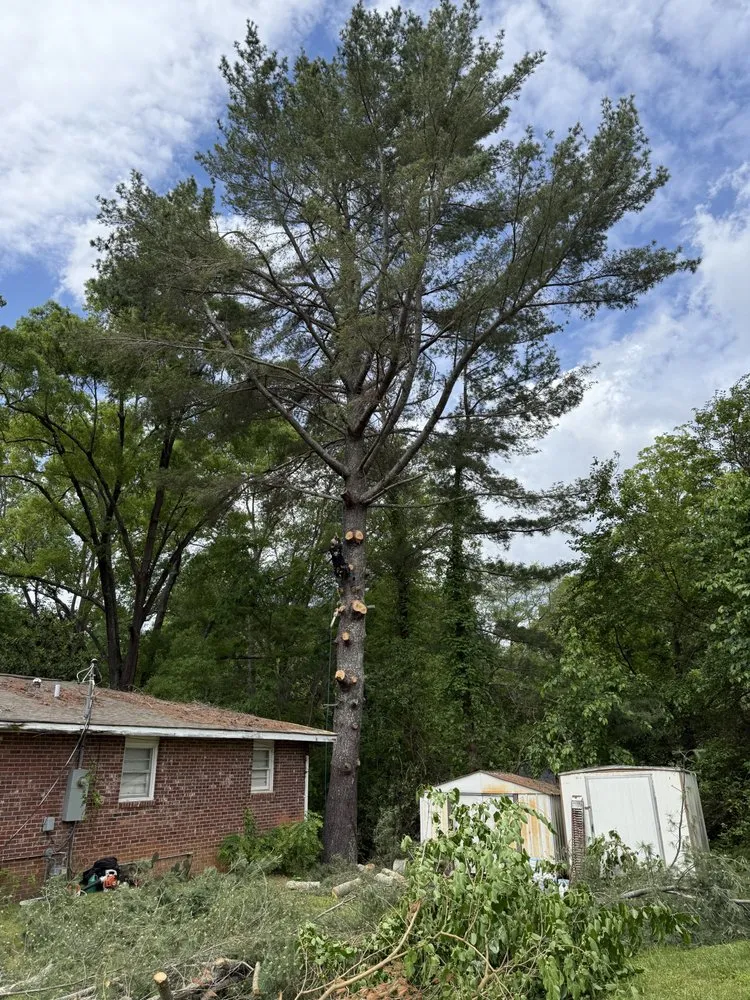 Affordable outdoor landscaping for beautiful yards in Mill Spring, NC by A Better Way Tree Service